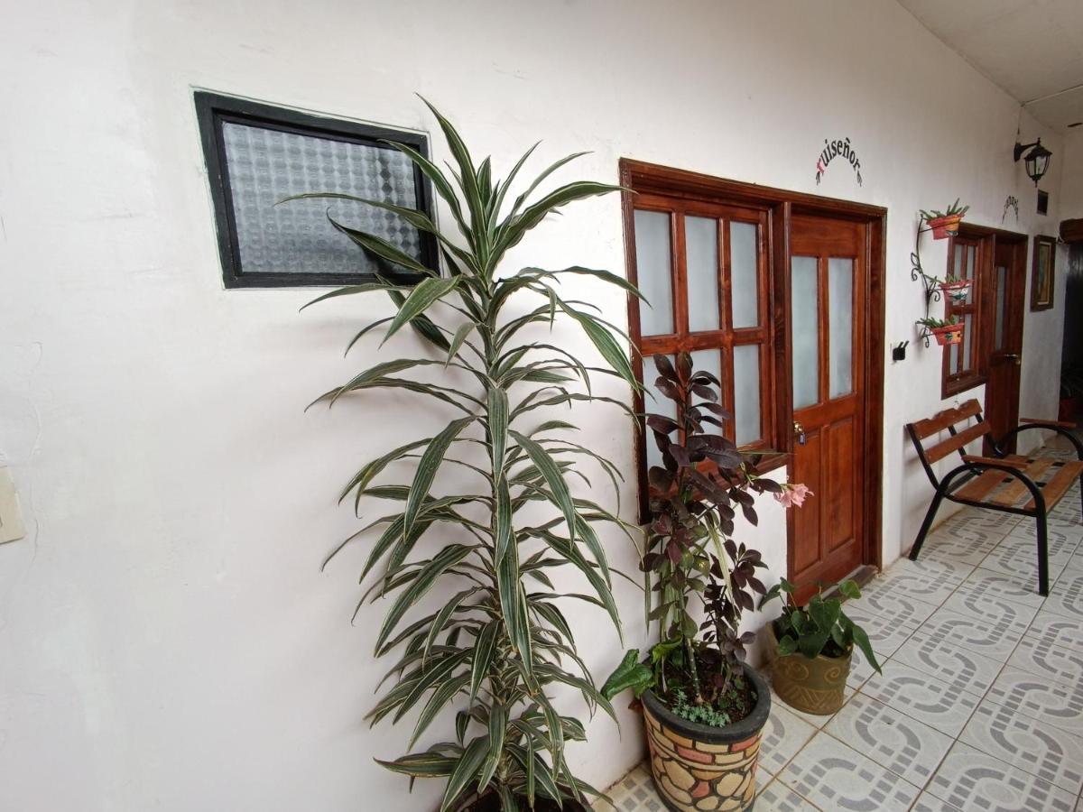 Casa Petirrojo - Habitaciones En Pátzcuaro מראה חיצוני תמונה